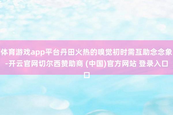 体育游戏app平台丹田火热的嗅觉初时需互助念念象-开云官网切尔西赞助商 (中国)官方网站 登录入口