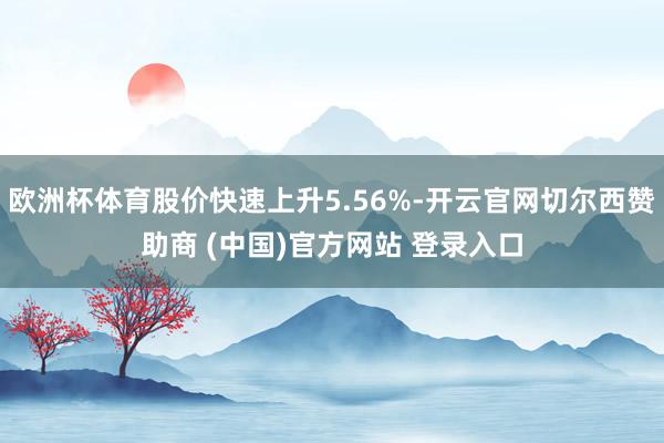 欧洲杯体育股价快速上升5.56%-开云官网切尔西赞助商 (中国)官方网站 登录入口